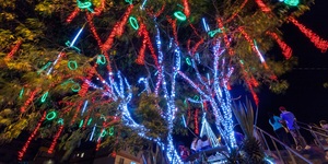 Unveil 8a21a6f614db065bb1ca2c21a5c803aede783f93e5277febbd47f37d9dbae4ca