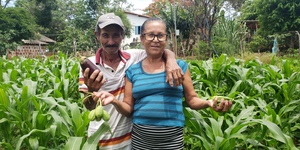 Unveil 8a21a6f614db065bb1ca2c21a5c803aede783f93e5277febbd47f37d9dbae4ca