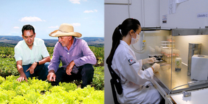 Unveil 8a21a6f614db065bb1ca2c21a5c803aede783f93e5277febbd47f37d9dbae4ca