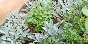 Unveil 8a21a6f614db065bb1ca2c21a5c803aede783f93e5277febbd47f37d9dbae4ca