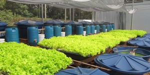 Unveil 8a21a6f614db065bb1ca2c21a5c803aede783f93e5277febbd47f37d9dbae4ca