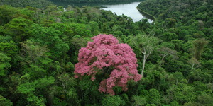 Unveil 8a21a6f614db065bb1ca2c21a5c803aede783f93e5277febbd47f37d9dbae4ca