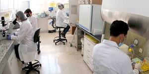 Unveil 8a21a6f614db065bb1ca2c21a5c803aede783f93e5277febbd47f37d9dbae4ca