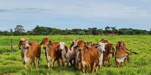 Unveil 8a21a6f614db065bb1ca2c21a5c803aede783f93e5277febbd47f37d9dbae4ca