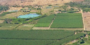 Unveil 8a21a6f614db065bb1ca2c21a5c803aede783f93e5277febbd47f37d9dbae4ca