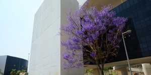 Unveil 8a21a6f614db065bb1ca2c21a5c803aede783f93e5277febbd47f37d9dbae4ca