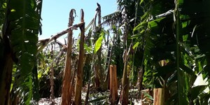 Unveil 8a21a6f614db065bb1ca2c21a5c803aede783f93e5277febbd47f37d9dbae4ca