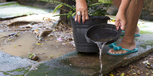 Unveil 8a21a6f614db065bb1ca2c21a5c803aede783f93e5277febbd47f37d9dbae4ca