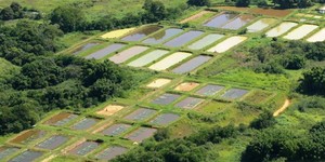 Unveil 8a21a6f614db065bb1ca2c21a5c803aede783f93e5277febbd47f37d9dbae4ca