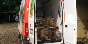 Unveil 8a21a6f614db065bb1ca2c21a5c803aede783f93e5277febbd47f37d9dbae4ca