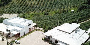 Unveil 8a21a6f614db065bb1ca2c21a5c803aede783f93e5277febbd47f37d9dbae4ca