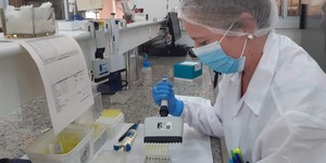 Unveil 8a21a6f614db065bb1ca2c21a5c803aede783f93e5277febbd47f37d9dbae4ca