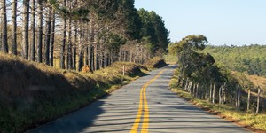 Unveil 8a21a6f614db065bb1ca2c21a5c803aede783f93e5277febbd47f37d9dbae4ca