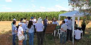 Unveil 8a21a6f614db065bb1ca2c21a5c803aede783f93e5277febbd47f37d9dbae4ca