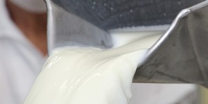 Unveil 8a21a6f614db065bb1ca2c21a5c803aede783f93e5277febbd47f37d9dbae4ca