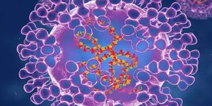 Unveil 8a21a6f614db065bb1ca2c21a5c803aede783f93e5277febbd47f37d9dbae4ca