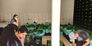 Unveil 8a21a6f614db065bb1ca2c21a5c803aede783f93e5277febbd47f37d9dbae4ca