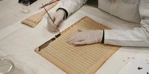 Unveil 8a21a6f614db065bb1ca2c21a5c803aede783f93e5277febbd47f37d9dbae4ca