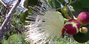 Unveil 8a21a6f614db065bb1ca2c21a5c803aede783f93e5277febbd47f37d9dbae4ca