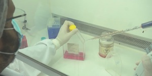 Unveil 8a21a6f614db065bb1ca2c21a5c803aede783f93e5277febbd47f37d9dbae4ca