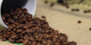 Unveil 8a21a6f614db065bb1ca2c21a5c803aede783f93e5277febbd47f37d9dbae4ca