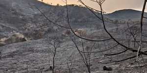 Unveil 8a21a6f614db065bb1ca2c21a5c803aede783f93e5277febbd47f37d9dbae4ca