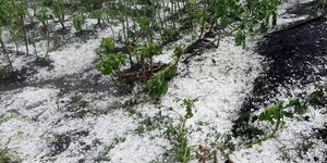 Unveil 8a21a6f614db065bb1ca2c21a5c803aede783f93e5277febbd47f37d9dbae4ca