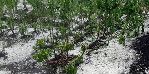 Unveil 8a21a6f614db065bb1ca2c21a5c803aede783f93e5277febbd47f37d9dbae4ca