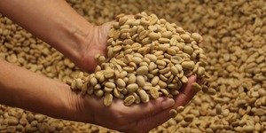 Unveil 8a21a6f614db065bb1ca2c21a5c803aede783f93e5277febbd47f37d9dbae4ca