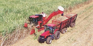 Unveil 8a21a6f614db065bb1ca2c21a5c803aede783f93e5277febbd47f37d9dbae4ca