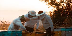 Unveil 8a21a6f614db065bb1ca2c21a5c803aede783f93e5277febbd47f37d9dbae4ca