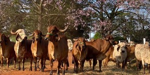 Unveil 8a21a6f614db065bb1ca2c21a5c803aede783f93e5277febbd47f37d9dbae4ca