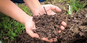 Unveil 8a21a6f614db065bb1ca2c21a5c803aede783f93e5277febbd47f37d9dbae4ca