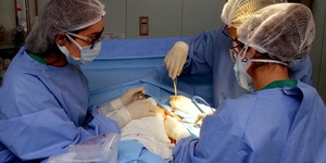 Unveil 8a21a6f614db065bb1ca2c21a5c803aede783f93e5277febbd47f37d9dbae4ca