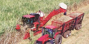 Unveil 8a21a6f614db065bb1ca2c21a5c803aede783f93e5277febbd47f37d9dbae4ca