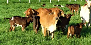 Unveil 8a21a6f614db065bb1ca2c21a5c803aede783f93e5277febbd47f37d9dbae4ca