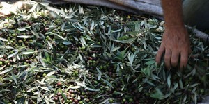 Unveil 8a21a6f614db065bb1ca2c21a5c803aede783f93e5277febbd47f37d9dbae4ca