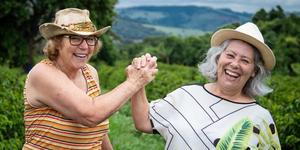 Unveil 8a21a6f614db065bb1ca2c21a5c803aede783f93e5277febbd47f37d9dbae4ca