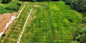 Unveil 8a21a6f614db065bb1ca2c21a5c803aede783f93e5277febbd47f37d9dbae4ca