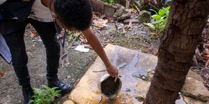 Unveil 8a21a6f614db065bb1ca2c21a5c803aede783f93e5277febbd47f37d9dbae4ca