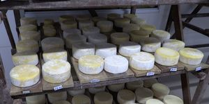 Unveil 8a21a6f614db065bb1ca2c21a5c803aede783f93e5277febbd47f37d9dbae4ca