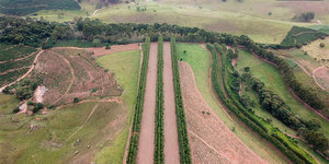 Unveil 8a21a6f614db065bb1ca2c21a5c803aede783f93e5277febbd47f37d9dbae4ca