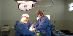 Unveil 8a21a6f614db065bb1ca2c21a5c803aede783f93e5277febbd47f37d9dbae4ca