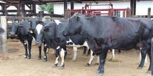 Unveil 8a21a6f614db065bb1ca2c21a5c803aede783f93e5277febbd47f37d9dbae4ca