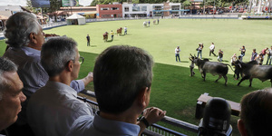 Unveil 8a21a6f614db065bb1ca2c21a5c803aede783f93e5277febbd47f37d9dbae4ca