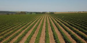 Unveil 8a21a6f614db065bb1ca2c21a5c803aede783f93e5277febbd47f37d9dbae4ca