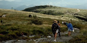 Unveil 8a21a6f614db065bb1ca2c21a5c803aede783f93e5277febbd47f37d9dbae4ca