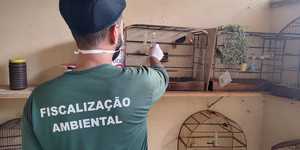 Unveil 8a21a6f614db065bb1ca2c21a5c803aede783f93e5277febbd47f37d9dbae4ca