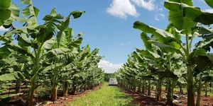 Unveil 8a21a6f614db065bb1ca2c21a5c803aede783f93e5277febbd47f37d9dbae4ca