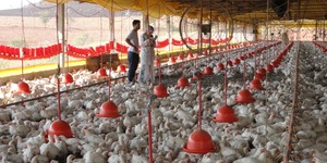 Unveil 8a21a6f614db065bb1ca2c21a5c803aede783f93e5277febbd47f37d9dbae4ca